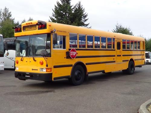 2001 International AmTran - 12 Row School Bus - B16161