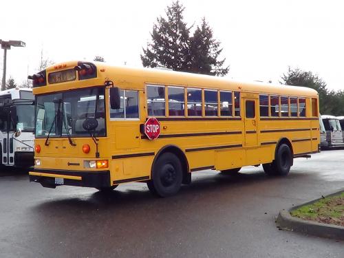 International AmTran 12 Row - 72 Kids