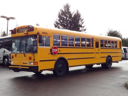 International AmTran 12 Row School Bus