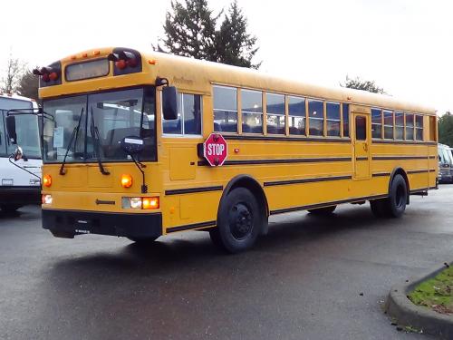 International AmTran - 48 Adult or 72 Kids