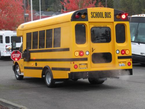 2018 Starcraft Quest 30 Passenger School Bus - B04123 - Image 3