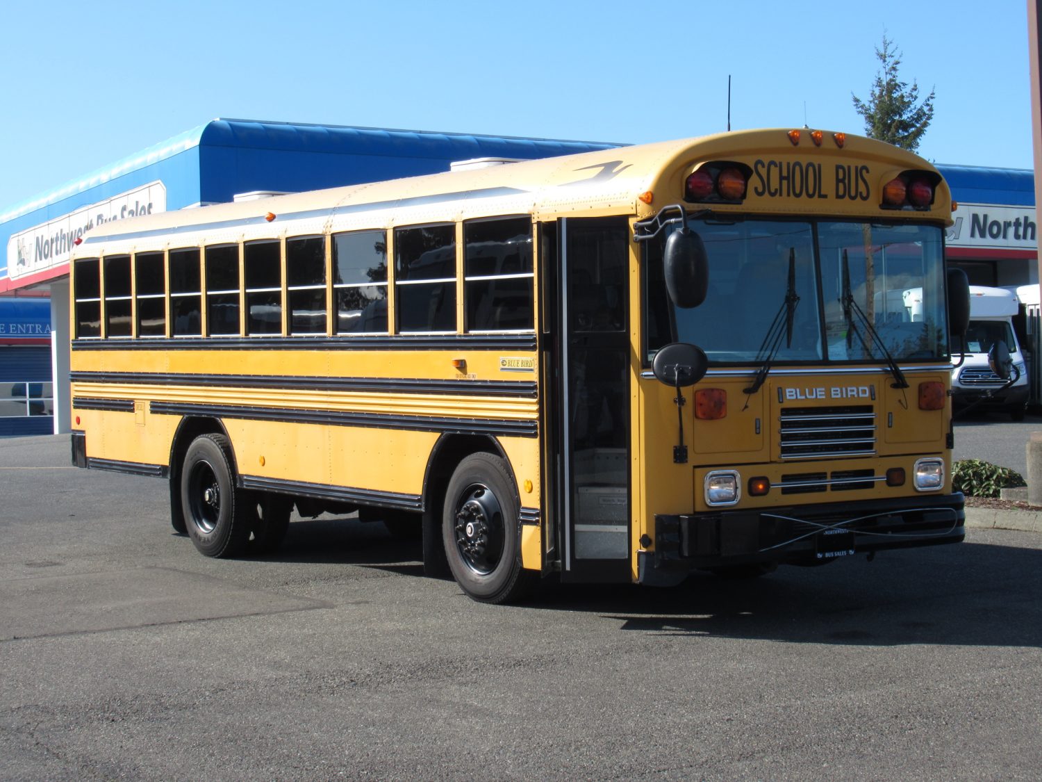 2003 Bluebird TC2000 48 Passenger School Bus - B08984