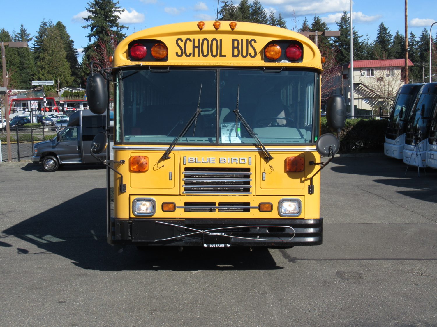 2003 Bluebird TC2000 48 Passenger School Bus - B08984 - Image 12