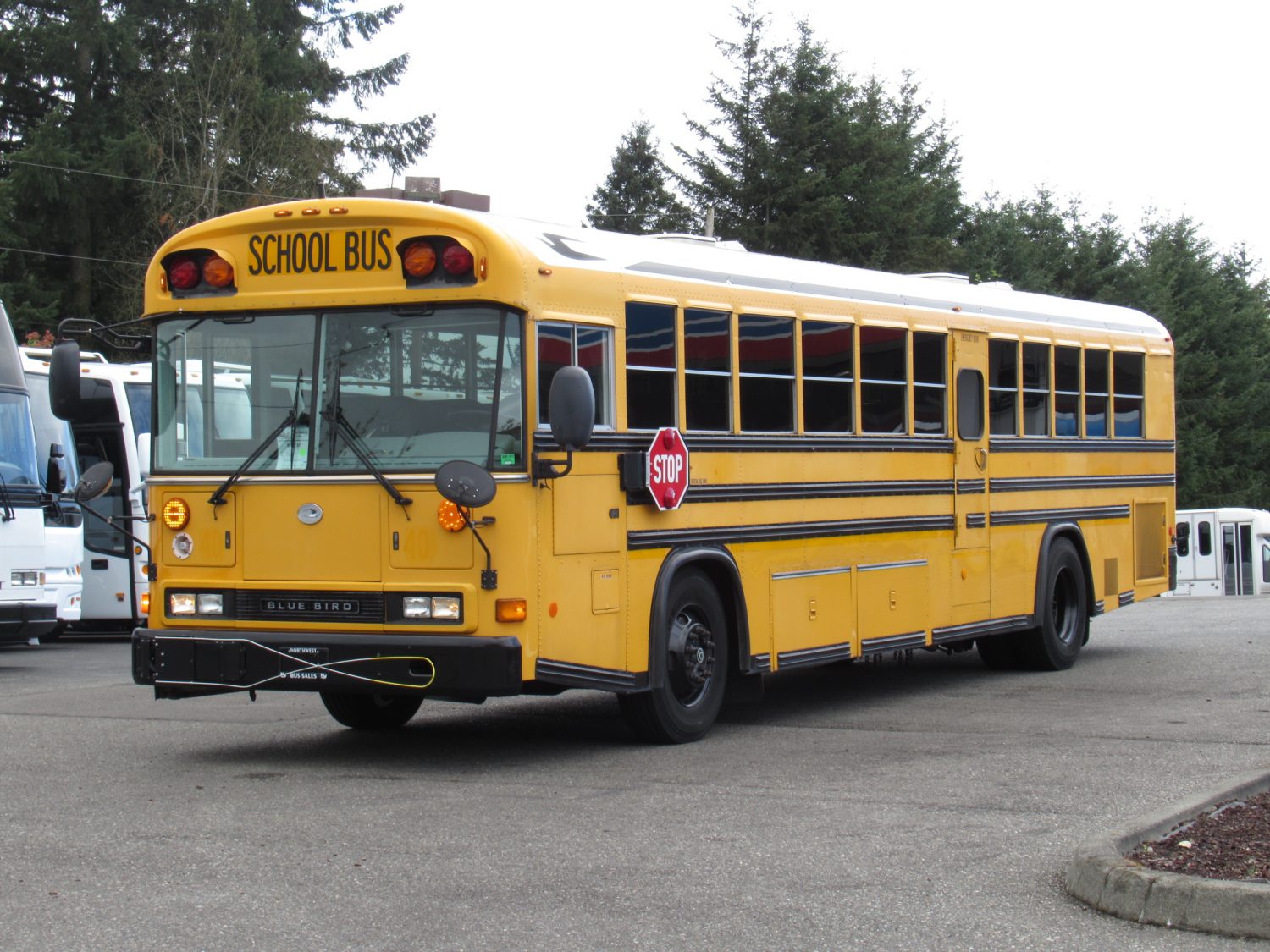 2004 Blue Bird All American 78 Passenger School Bus - B15785 - Image 2