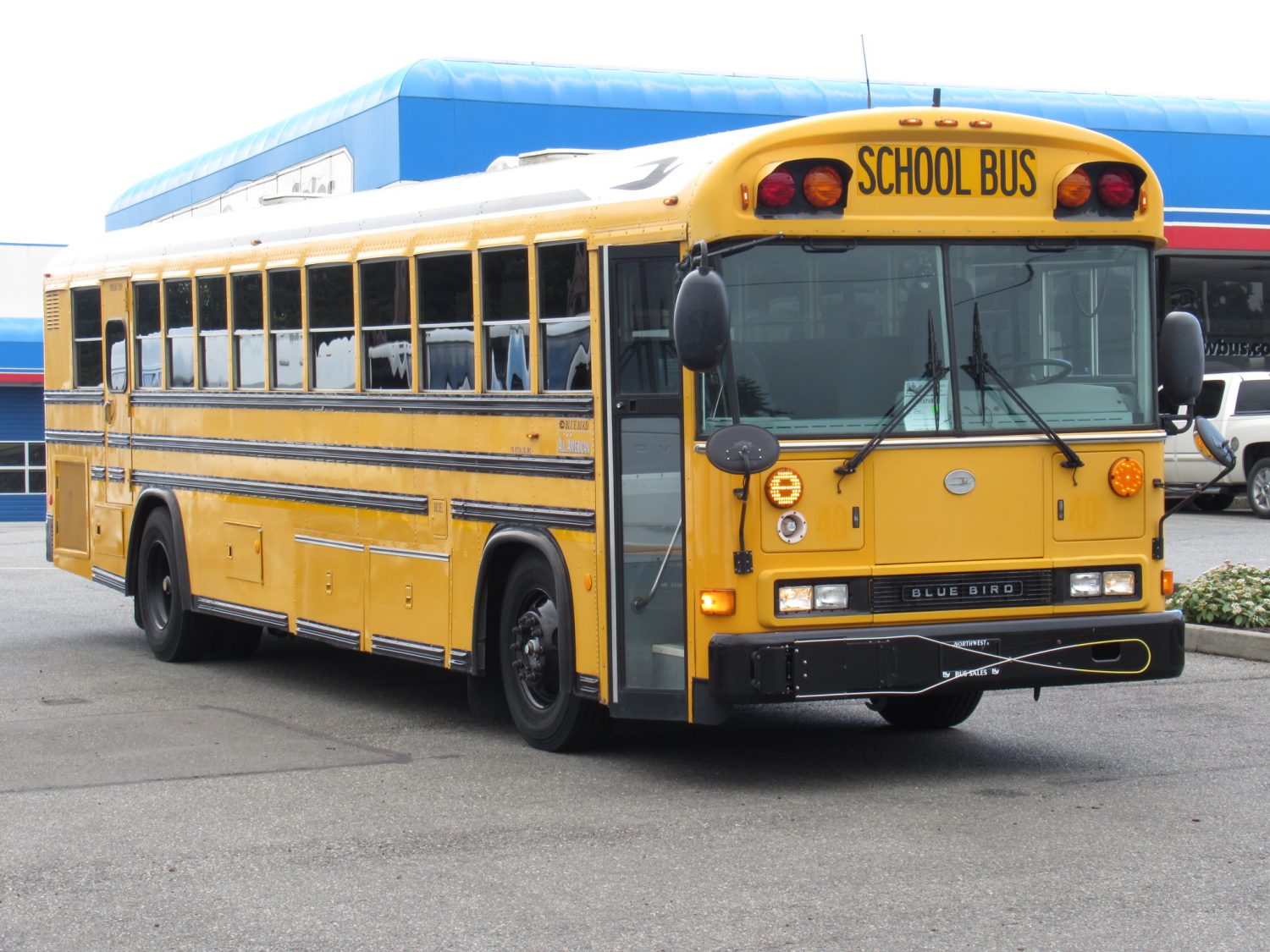 2004 Blue Bird All American 78 Passenger School Bus - B15785