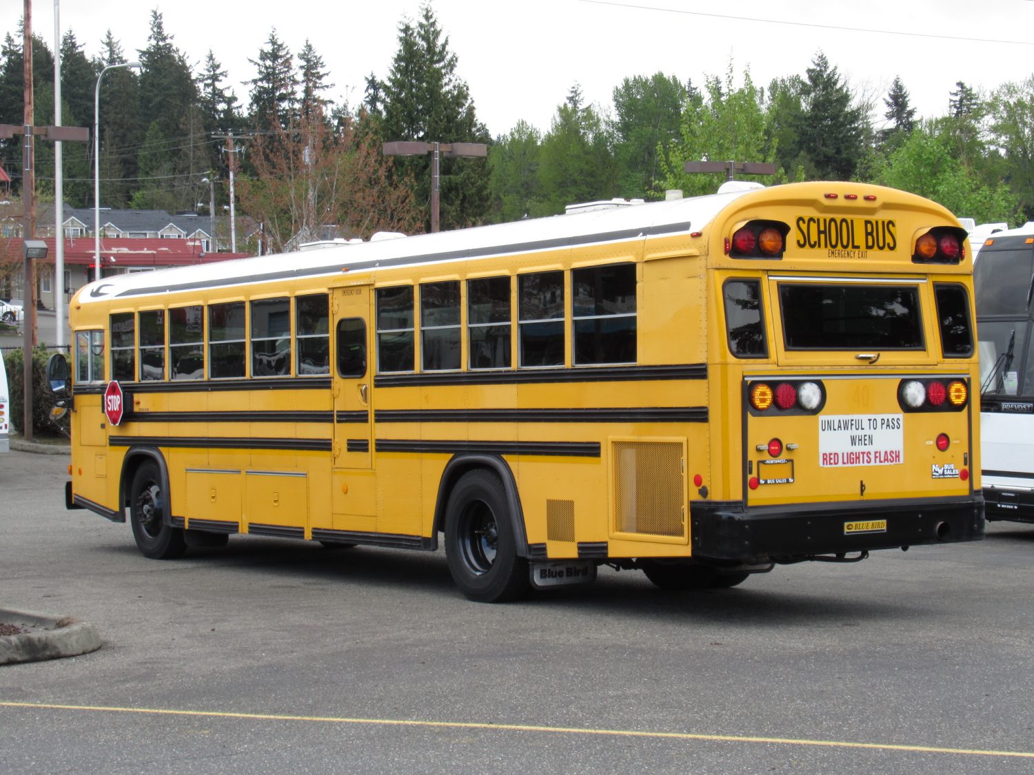 2004 Blue Bird All American 78 Passenger School Bus - B15785 - Image 4