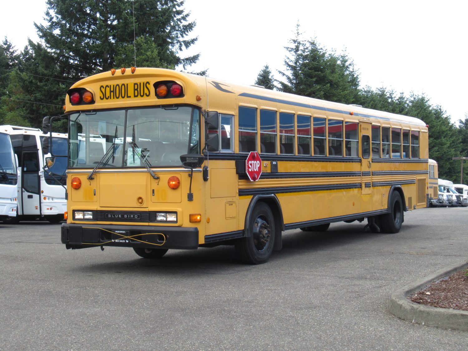 2000 Bluebird All American 78 Passenger School Bus - B91273 - Image 2