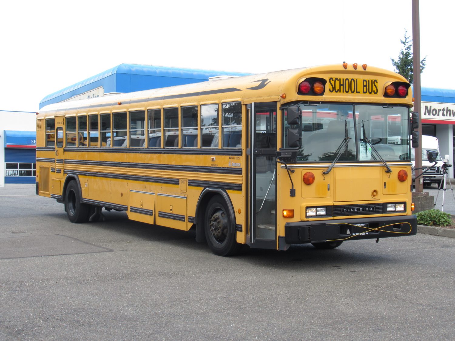 2000 Bluebird All American 78 Passenger School Bus - B91273