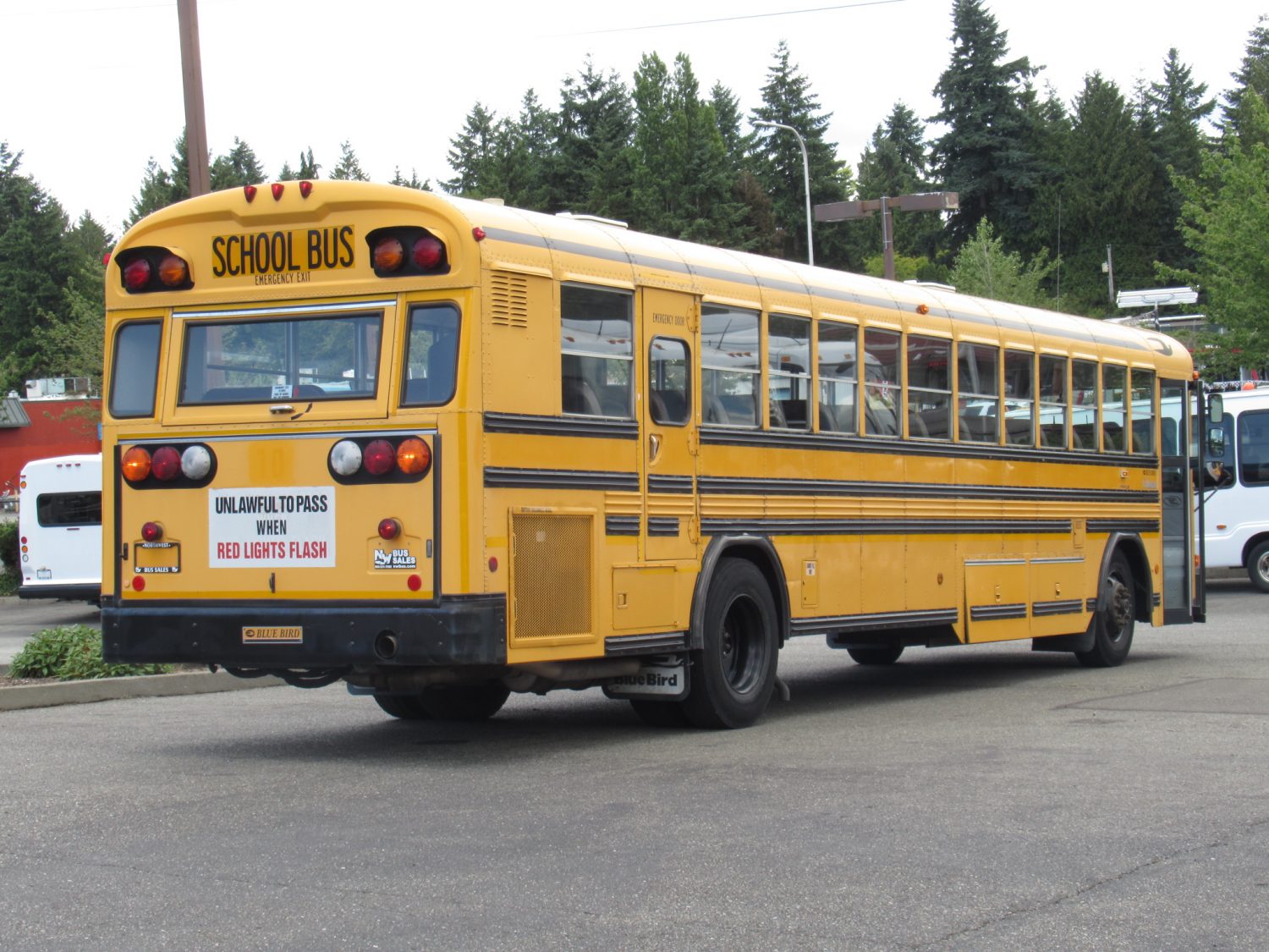 2000 Bluebird All American 78 Passenger School Bus - B91273 - Image 3