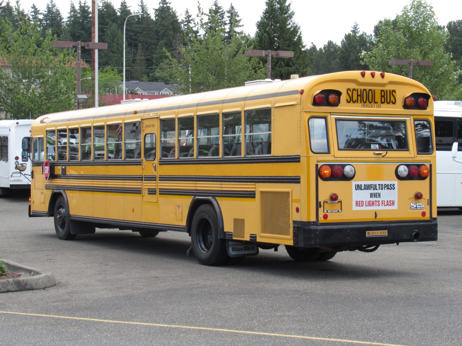 2000 Bluebird All American 78 Passenger School Bus - B91273 - Image 4