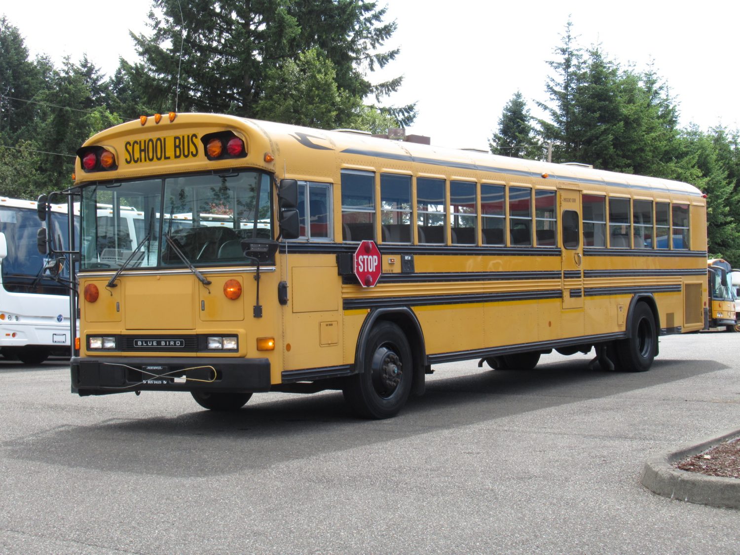 2000 Bluebird All American 84 Passenger School Bus - B87982 - Image 2