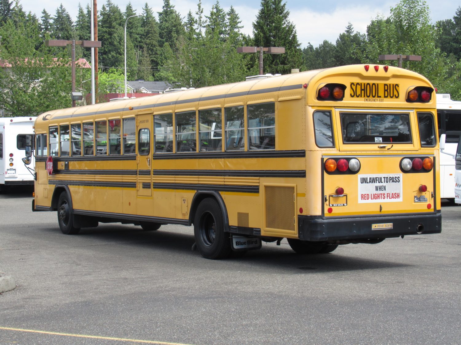2000 Bluebird All American 84 Passenger School Bus - B87982 - Image 4