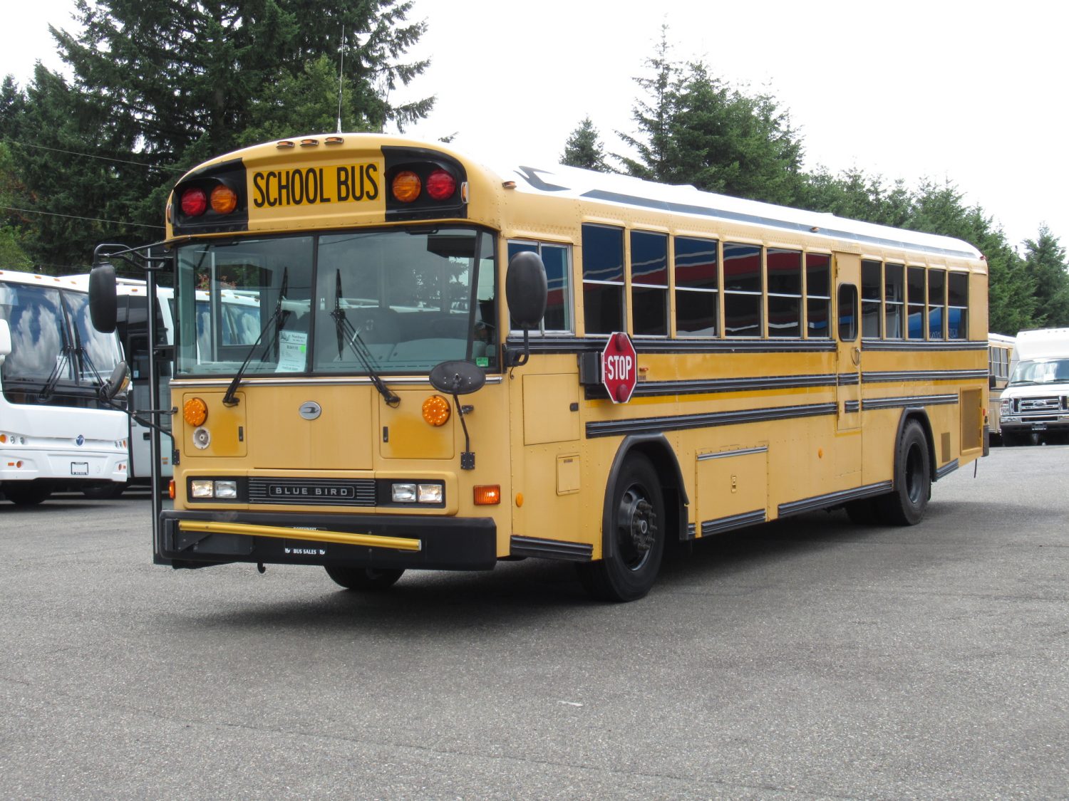 2006 Blue Bird All American 78 Passenger School Bus - B34115 - Image 2