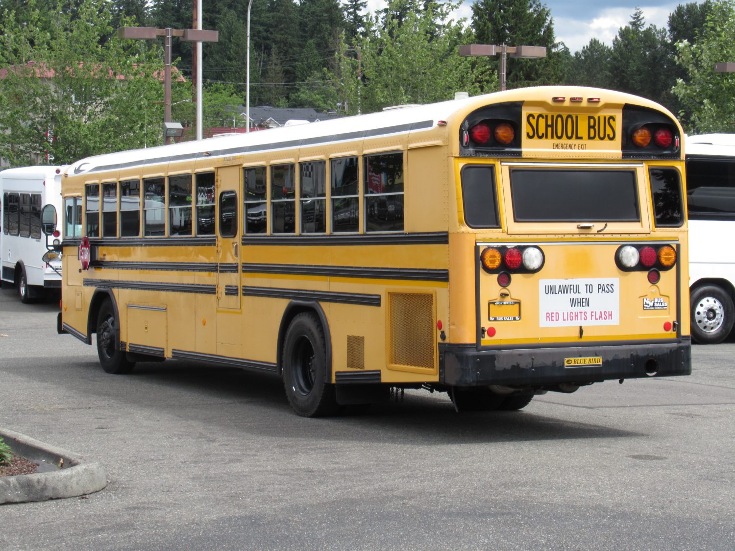 2006 Blue Bird All American 78 Passenger School Bus - B34115 - Image 4