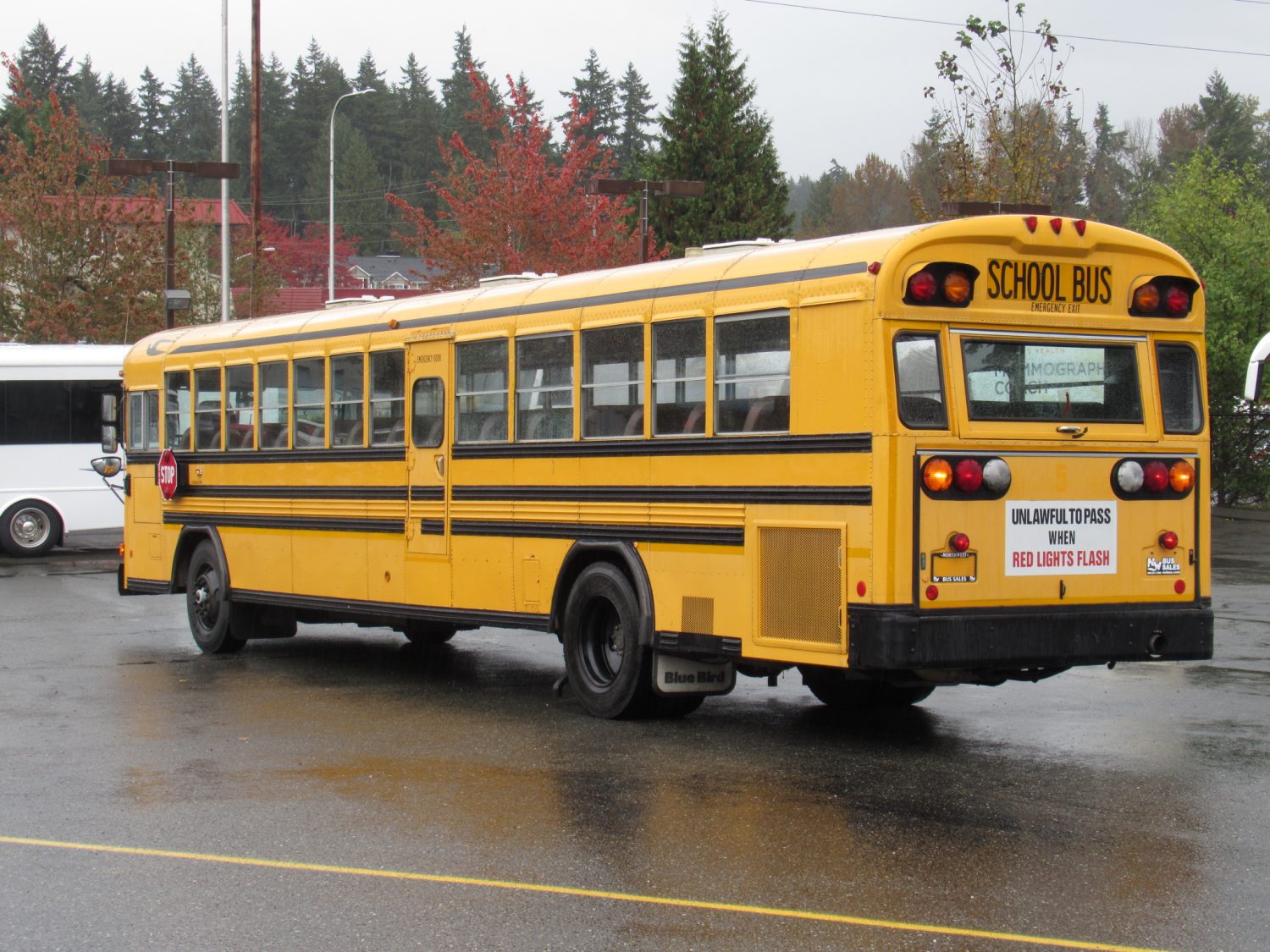 2000 Bluebird All American 84 Passenger School Bus - B87939 - Image 4