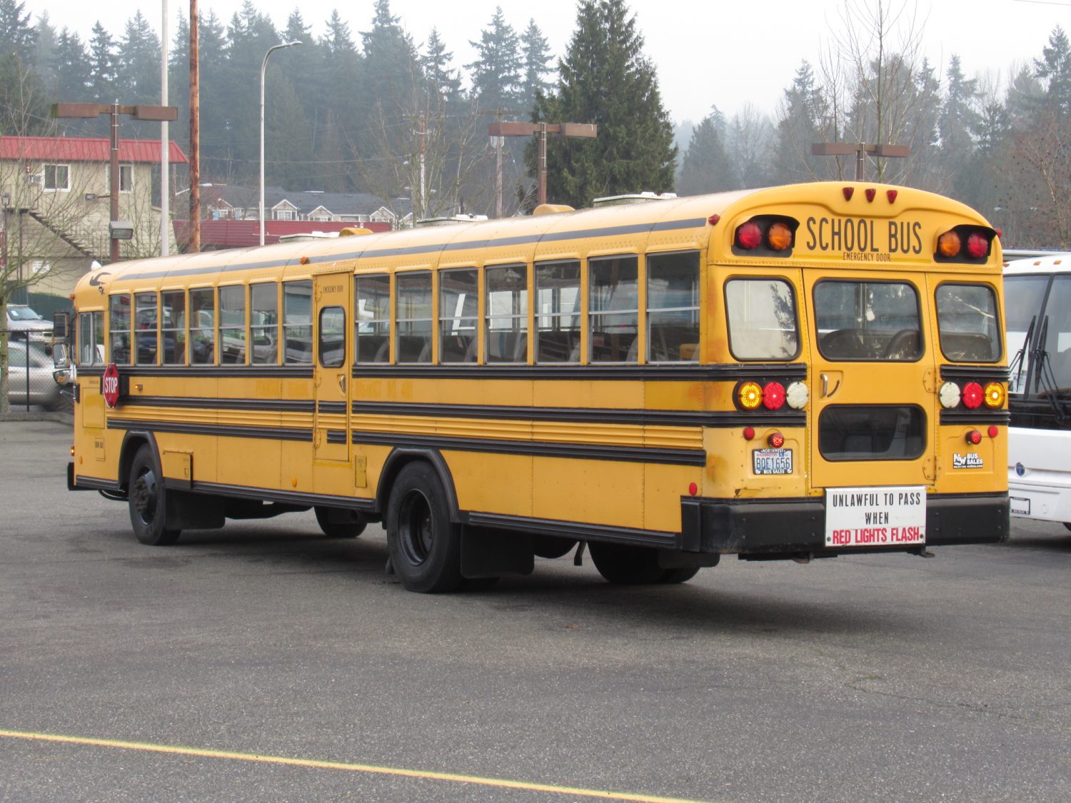 2001 Bluebird All American 84 Passenger School Bus - B99815 - Image 4