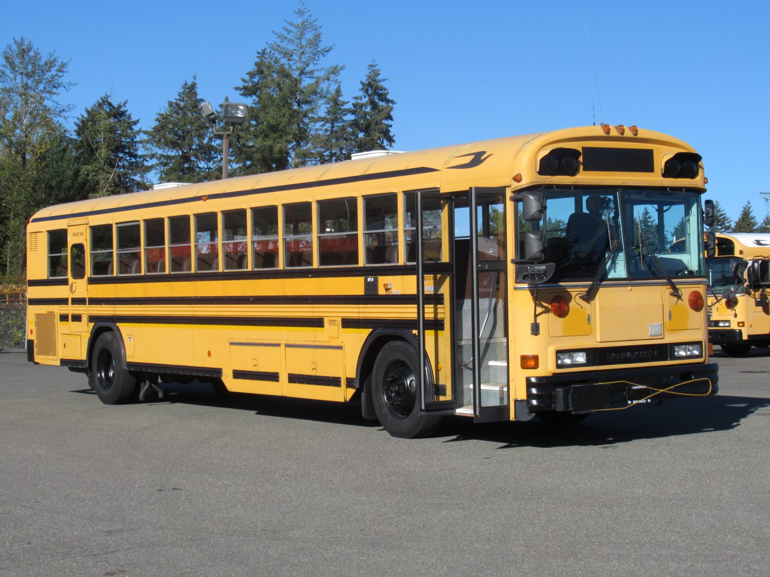 2001 Bluebird All American 78 Passenger School Bus - B99964