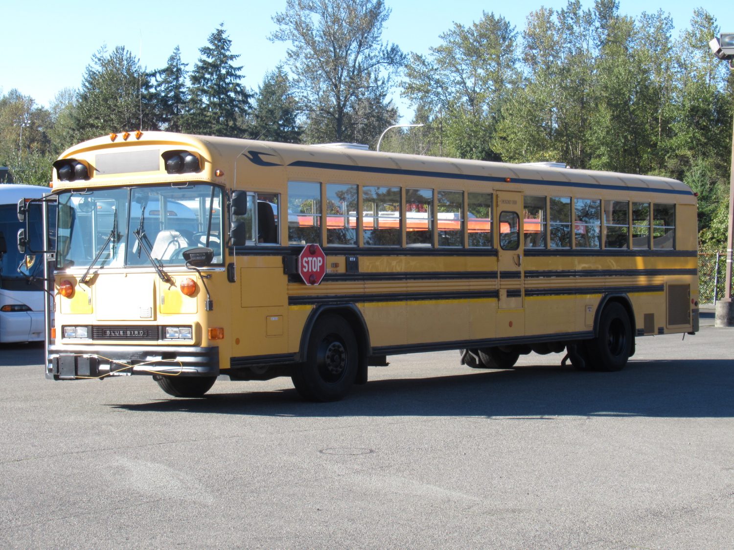 2001 Bluebird All American 78 Passenger School Bus - B99964 - Image 2