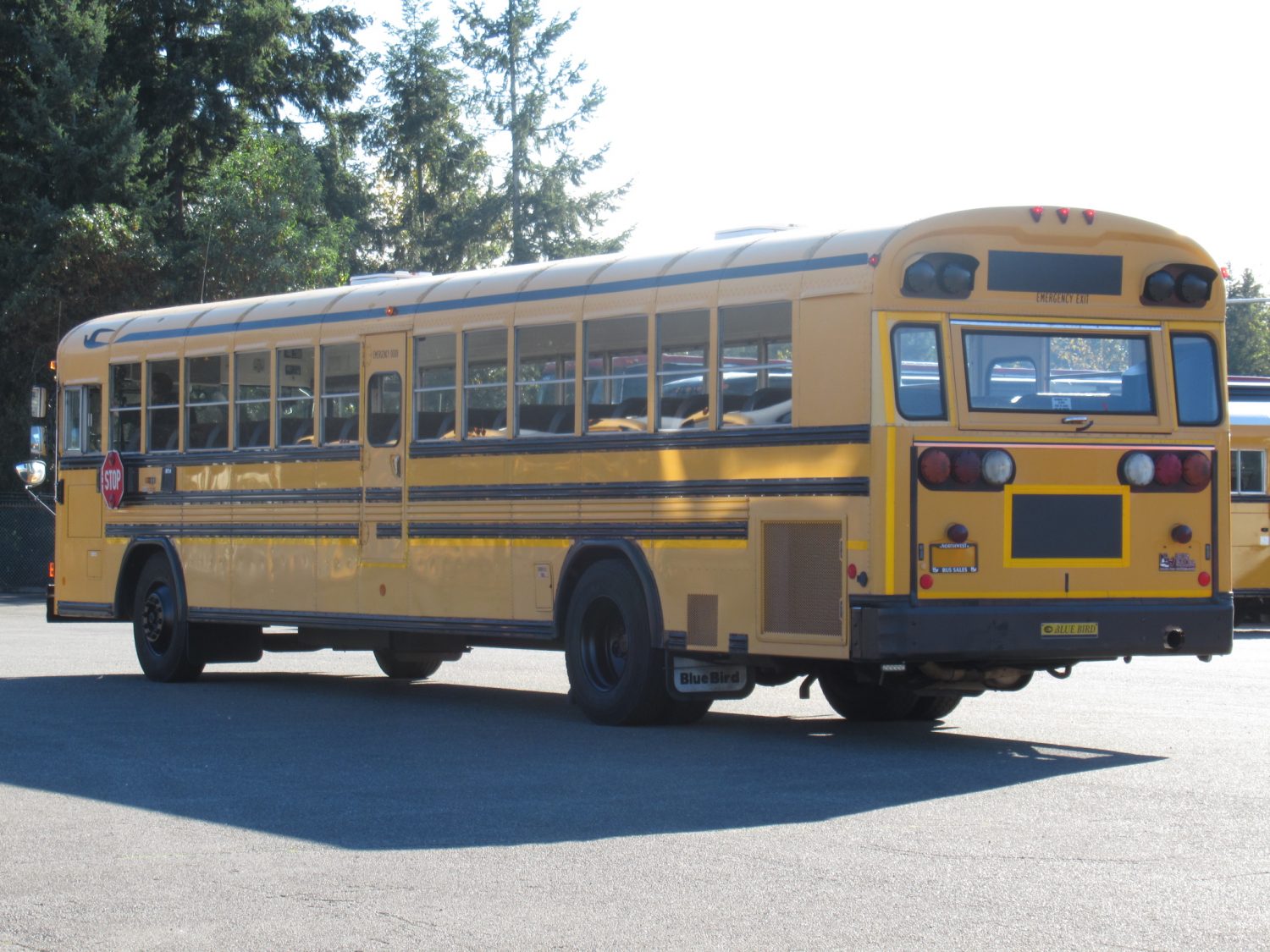 2001 Bluebird All American 78 Passenger School Bus - B99964 - Image 3