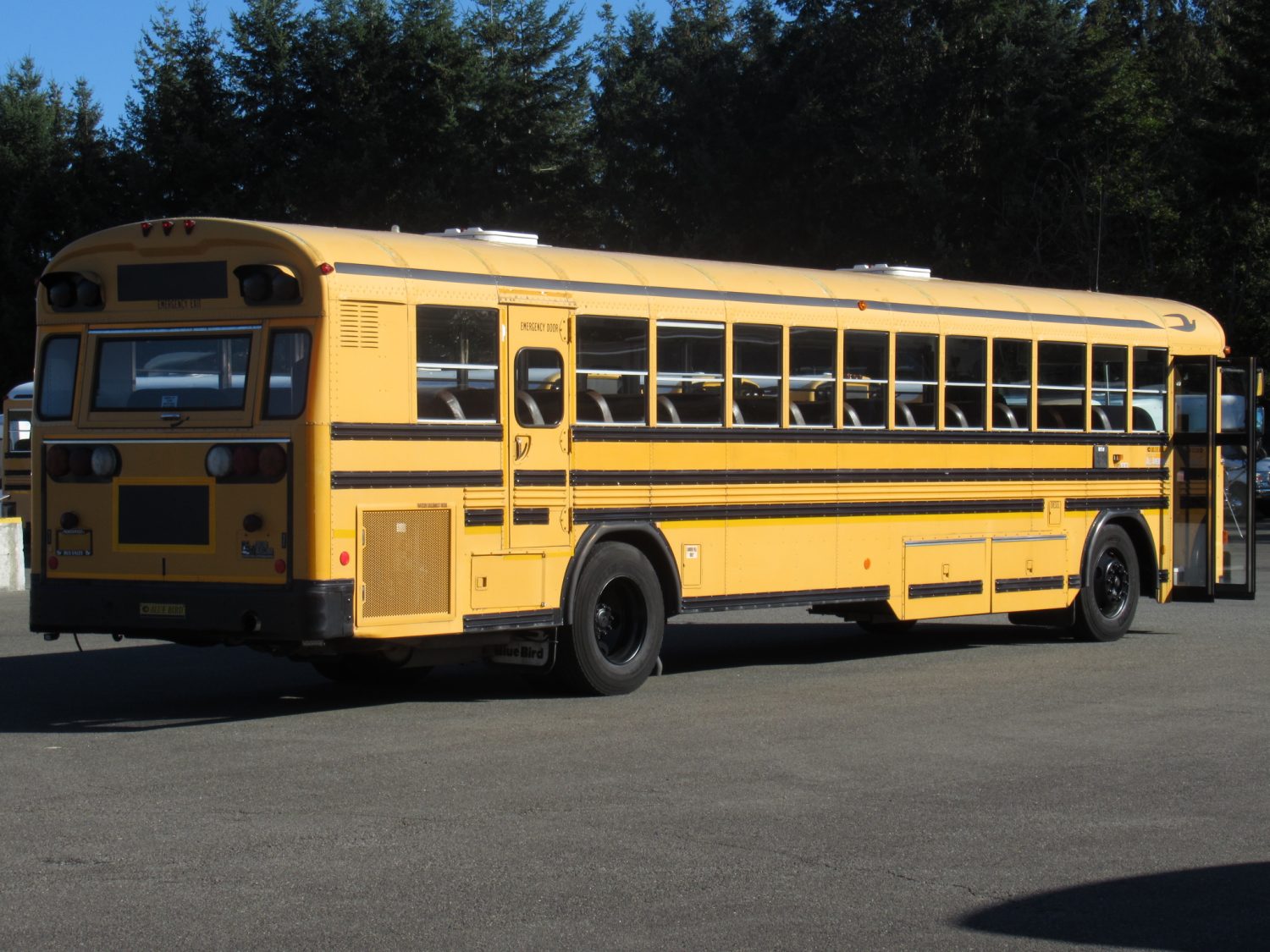 2001 Bluebird All American 78 Passenger School Bus - B99964 - Image 4