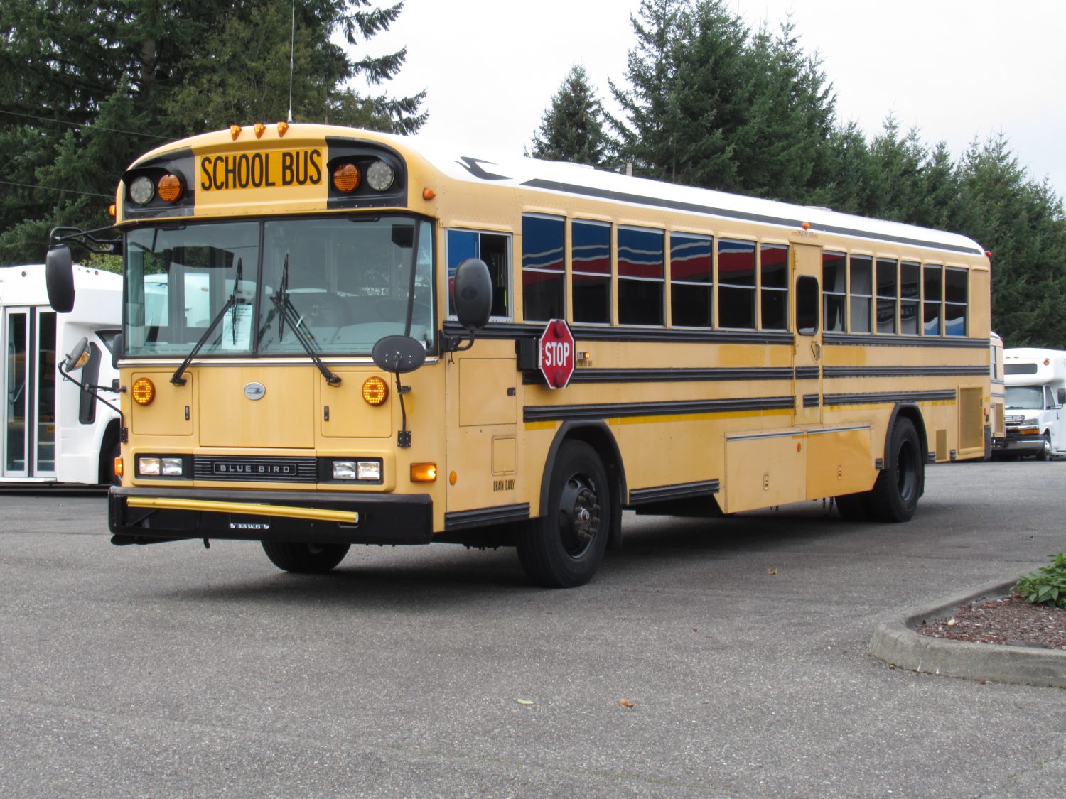 2008 Blue Bird All American 78 Passenger School Bus - B46192 - Image 2