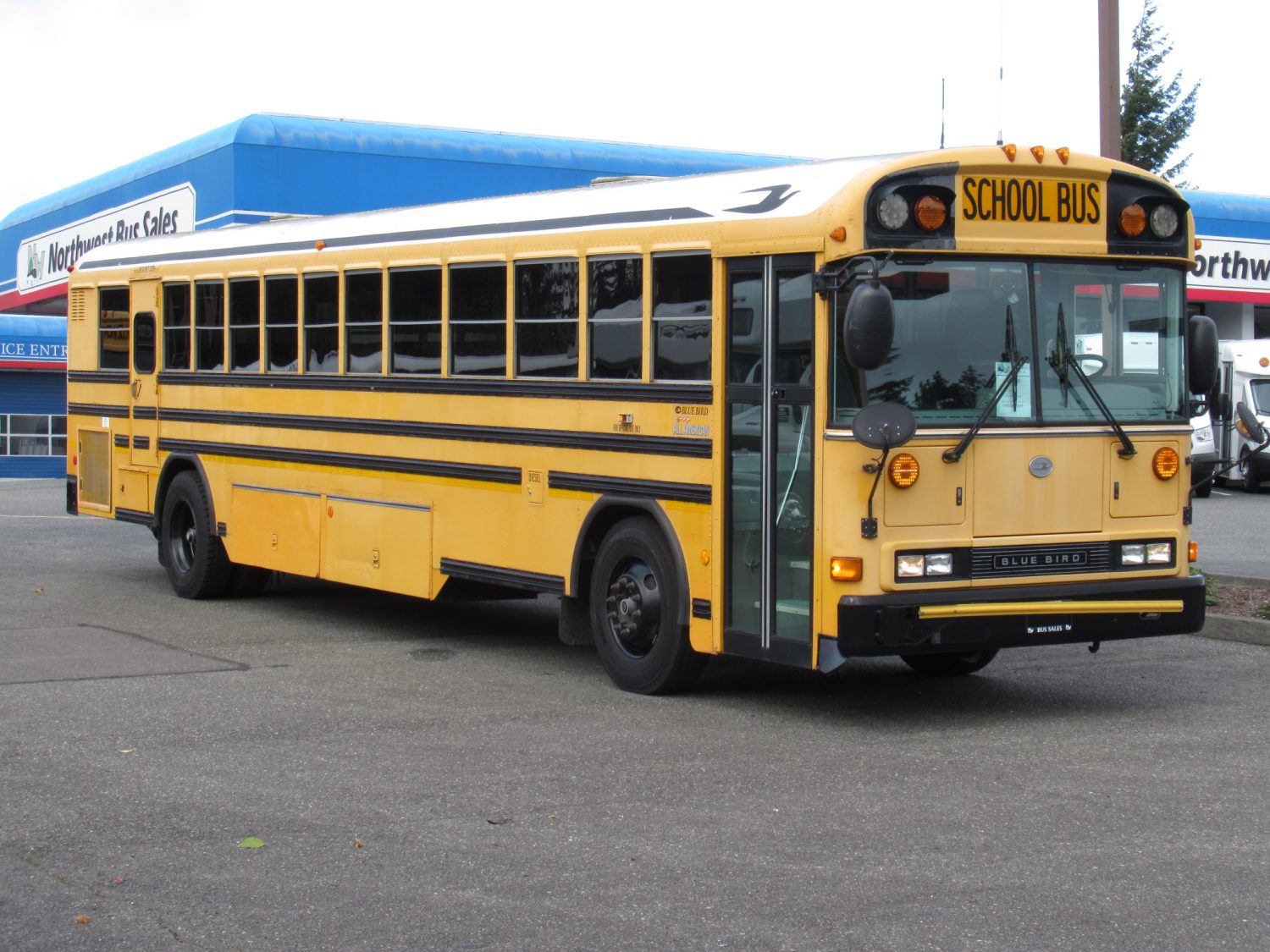 2008 Blue Bird All American 78 Passenger School Bus - B46192