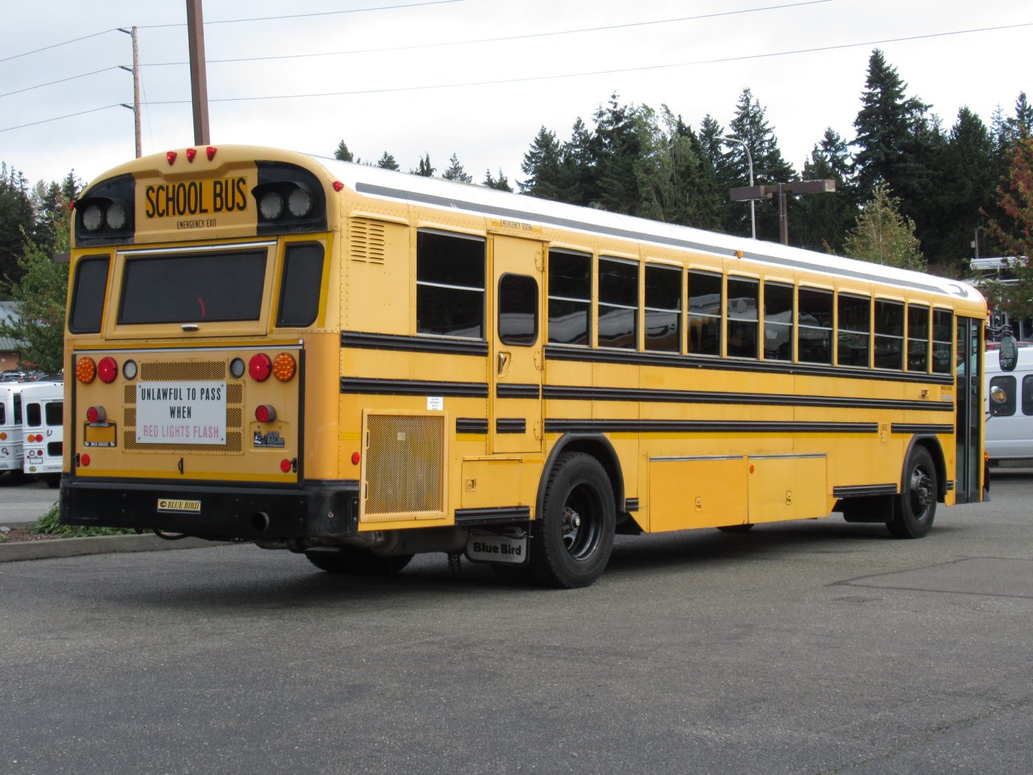 2008 Blue Bird All American 78 Passenger School Bus - B46192 - Image 3
