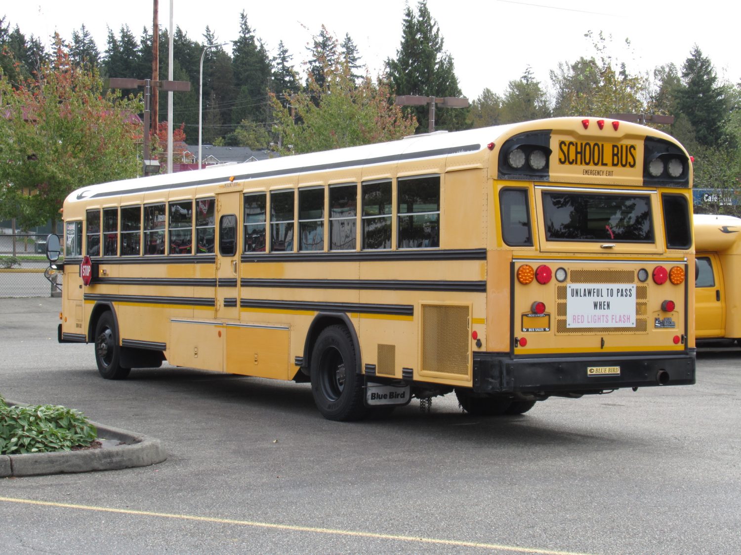 2008 Blue Bird All American 78 Passenger School Bus - B46192 - Image 4