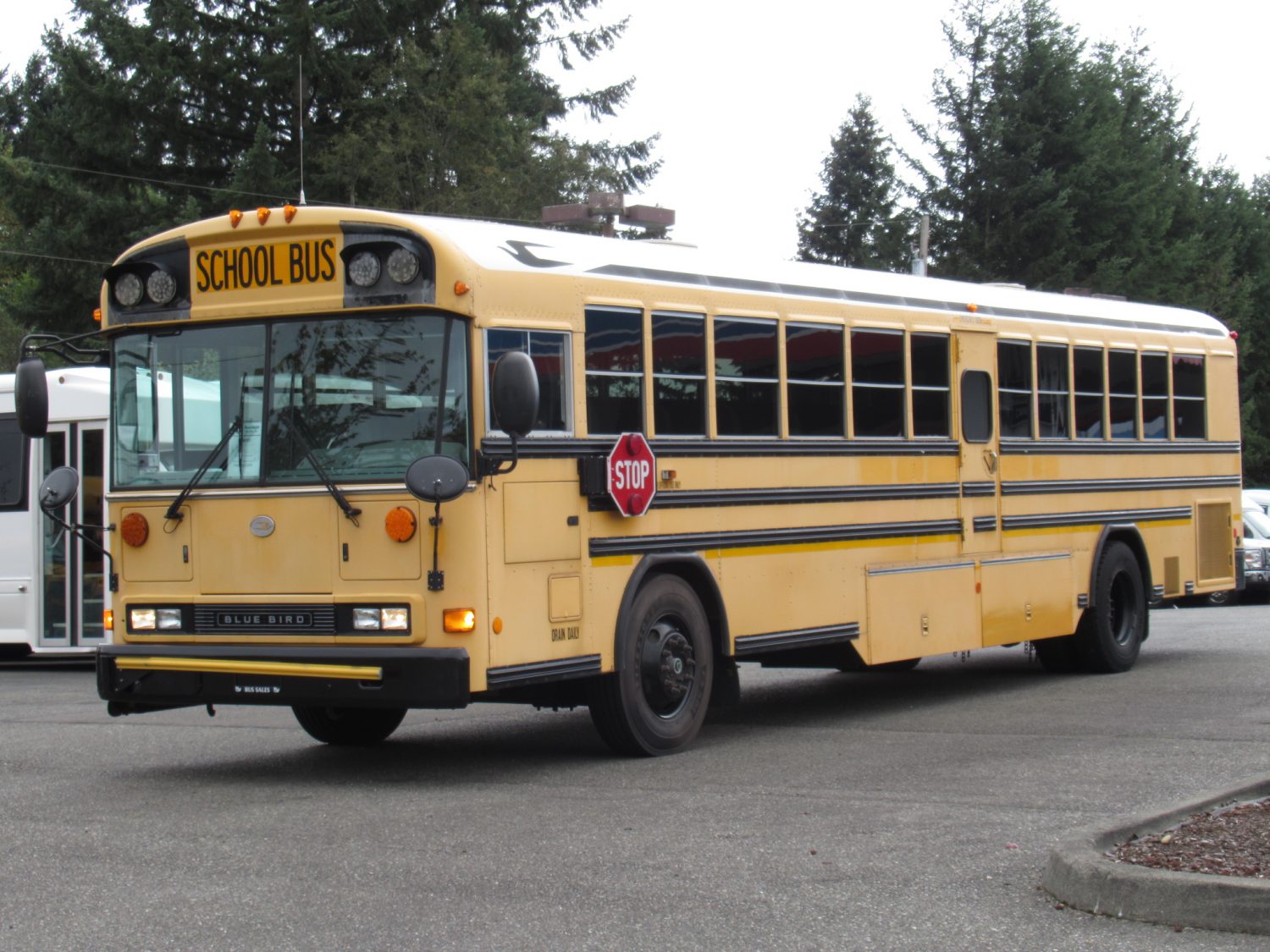 2008 Blue Bird All American 78 Passenger School Bus - B46191 - Image 2
