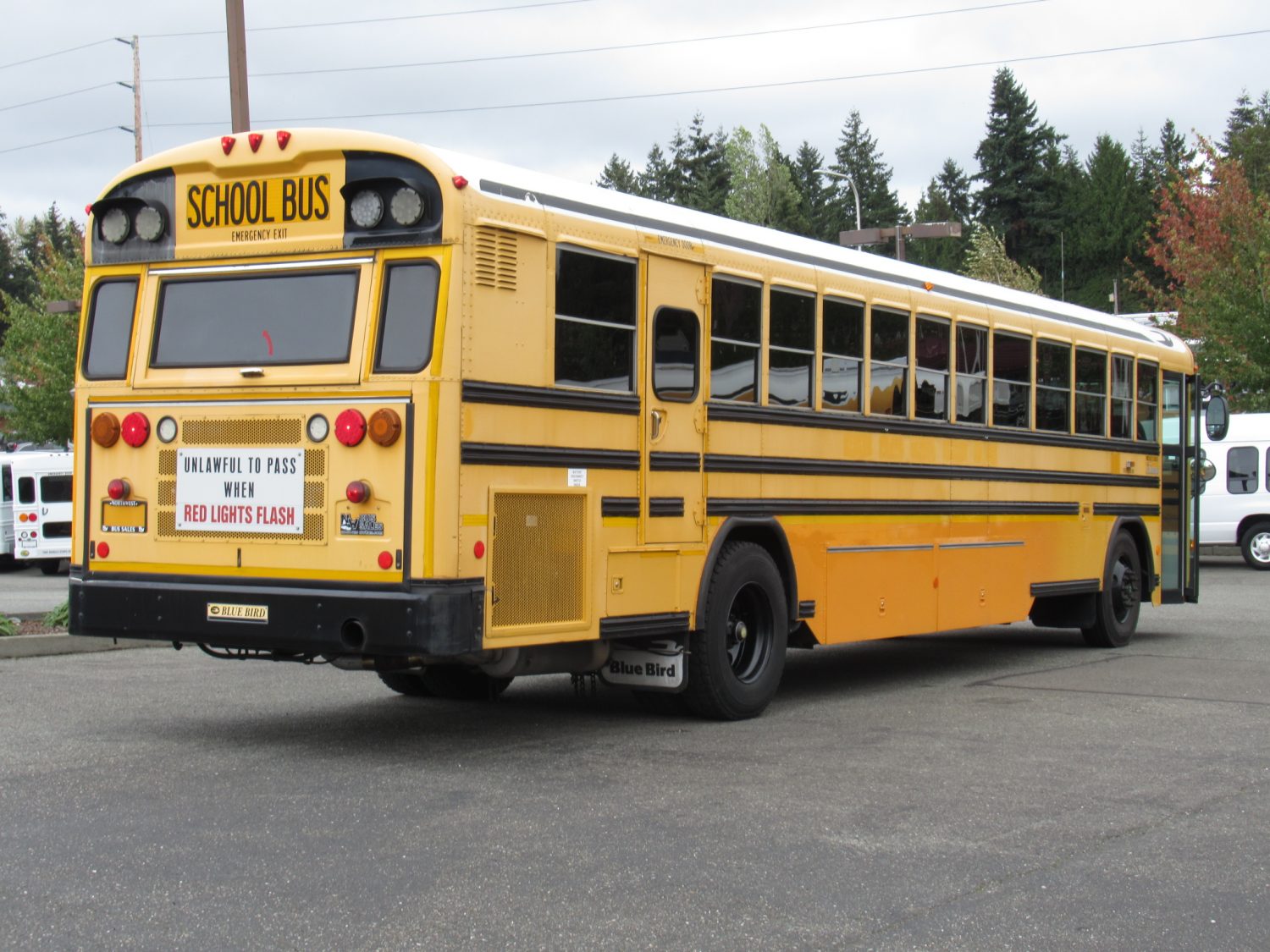 2008 Blue Bird All American 78 Passenger School Bus - B46191 - Image 3
