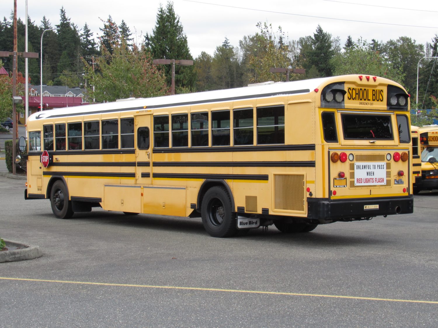 2008 Blue Bird All American 78 Passenger School Bus - B46191 - Image 4