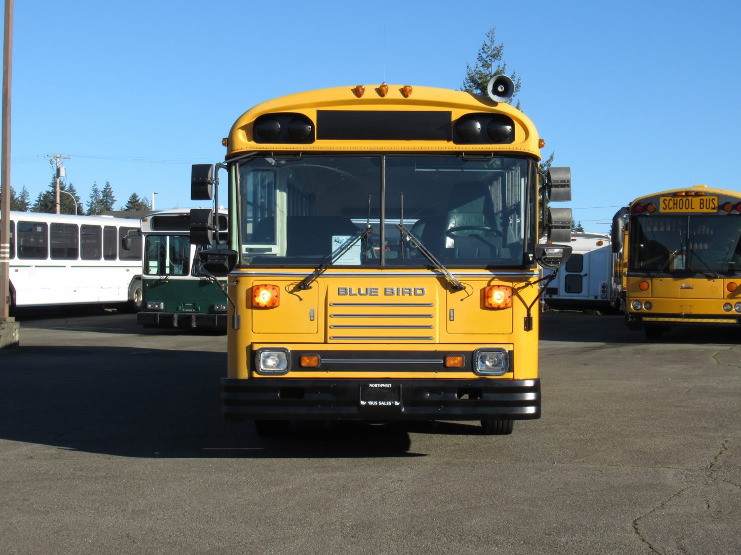 1998 Blue Bird TC-2000 75 Passenger School Bus - B78487 - Image 12