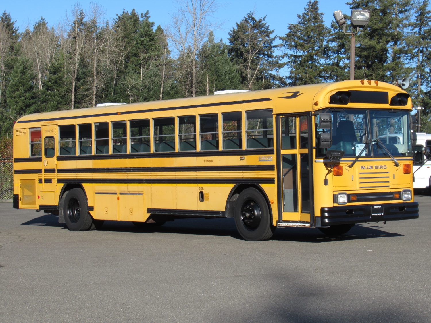 1998 Blue Bird TC-2000 75 Passenger School Bus - B78487