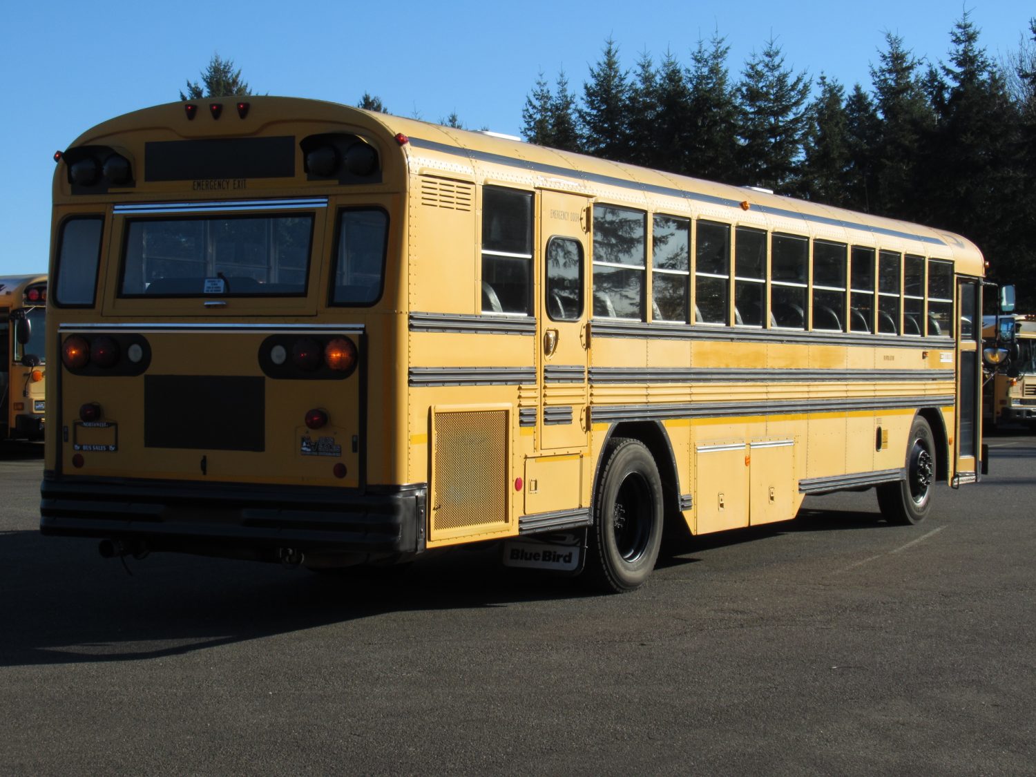 1998 Blue Bird TC-2000 75 Passenger School Bus - B78487 - Image 3