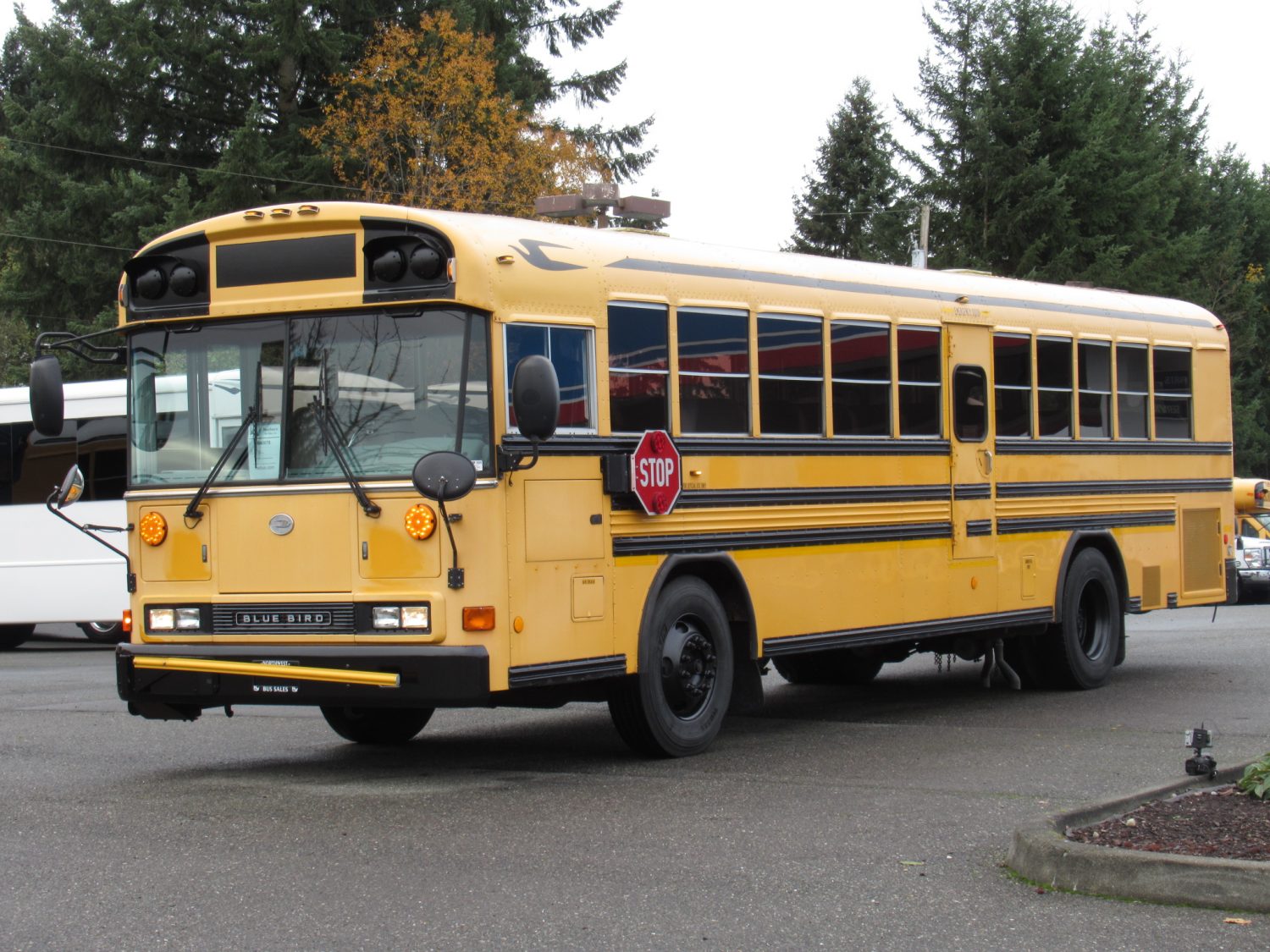 2007 Blue Bird All American 72 Passenger School Bus - B40678 - Image 2
