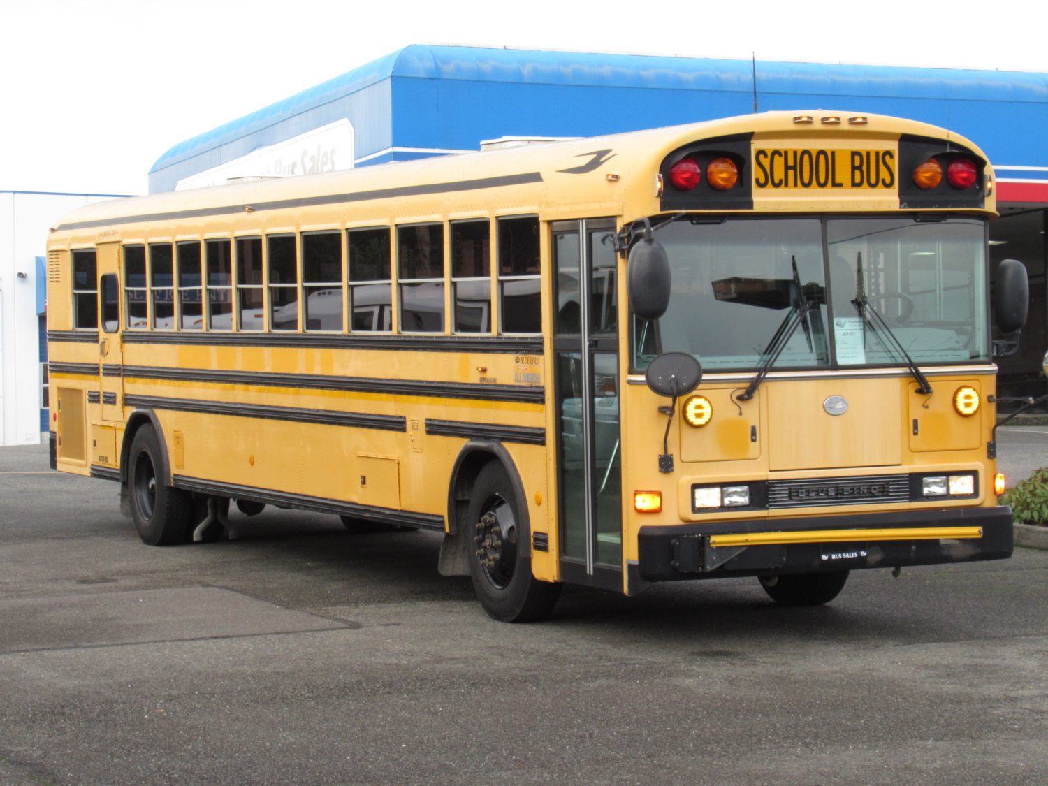 2006 Bluebird All American 84 Passenger School Bus - B31562