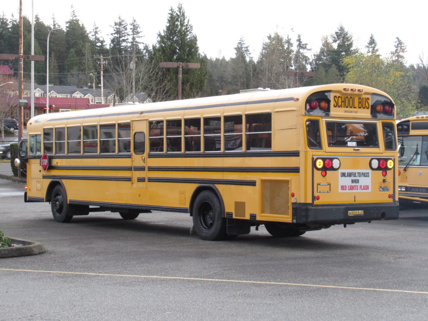 2006 Bluebird All American 84 Passenger School Bus - B31562 - Image 4
