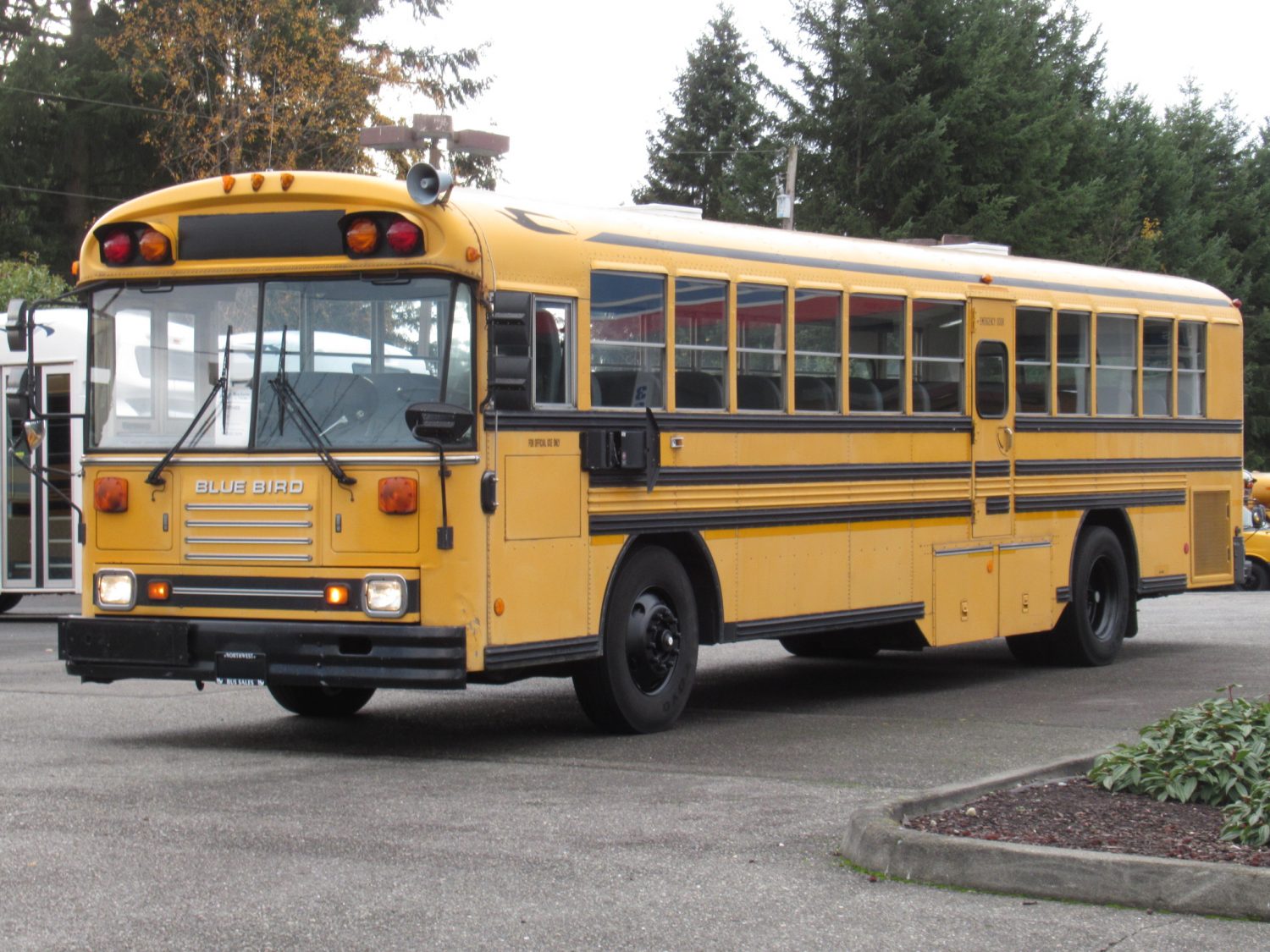 1998 Blue Bird TC-2000 75 Passenger School Bus - B78489 - Image 2