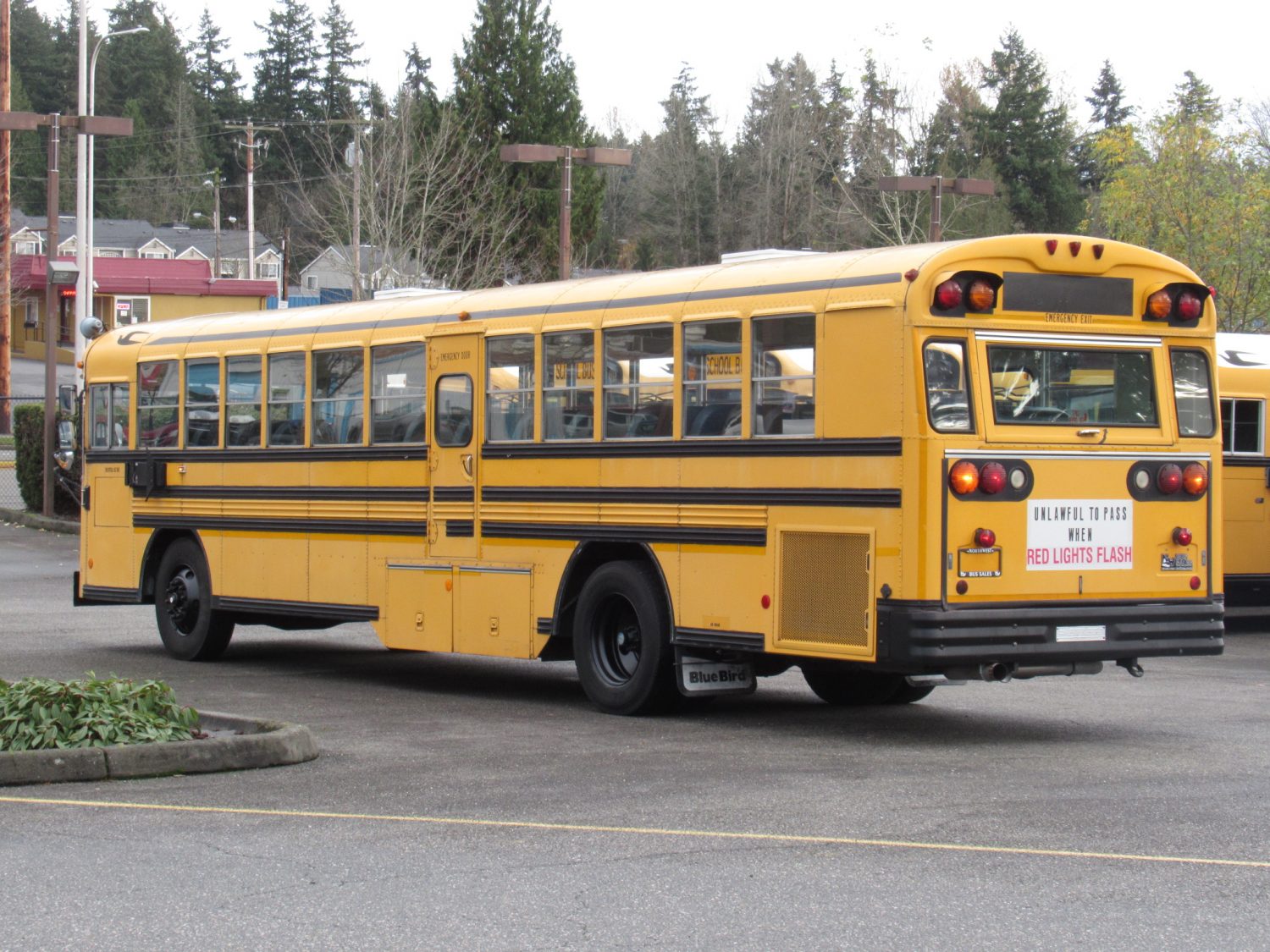 1998 Blue Bird TC-2000 75 Passenger School Bus - B78489 - Image 4