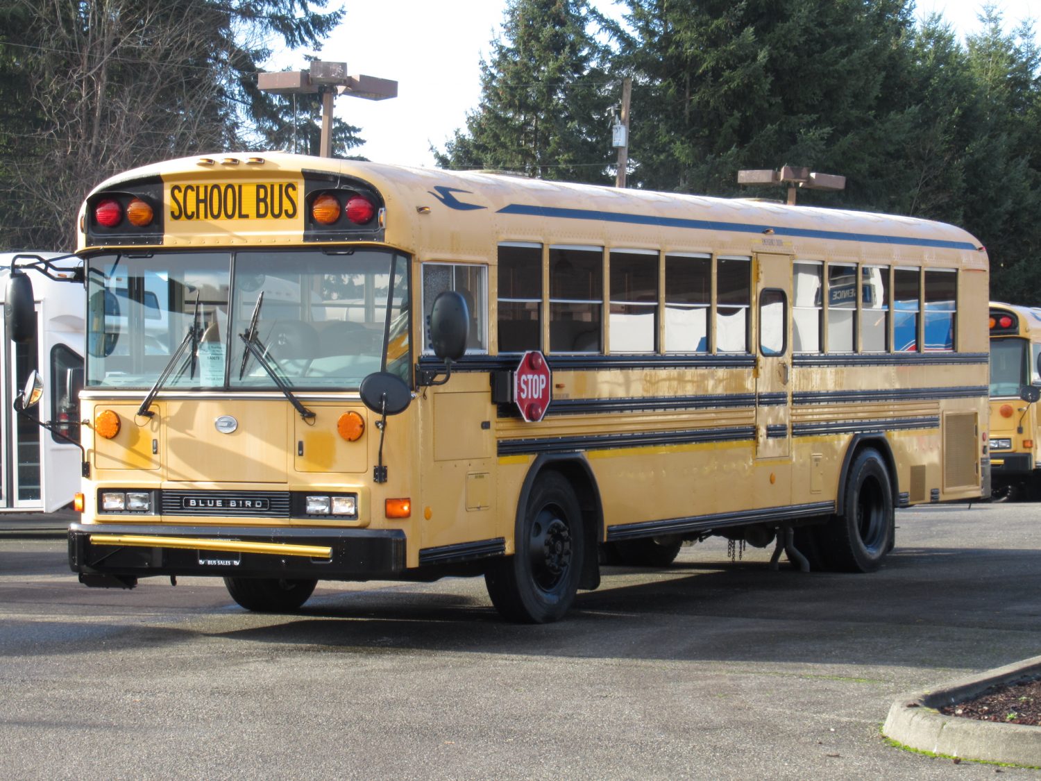 2007 Blue Bird All American 72 Passenger School Bus - B40679 - Image 2