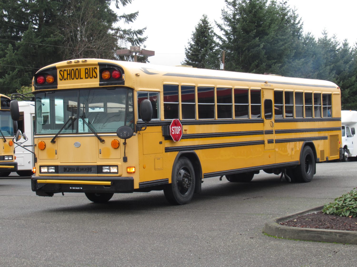 2006 Bluebird All American 84 Passenger School Bus - B37300 - Image 2