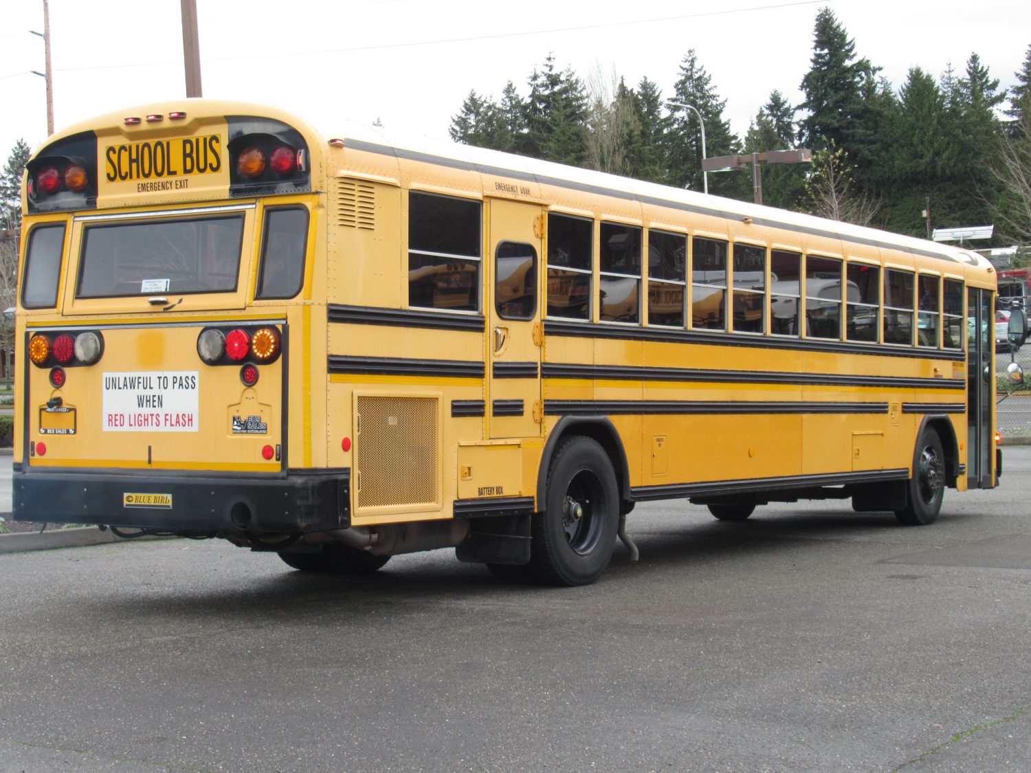 2006 Bluebird All American 84 Passenger School Bus - B37300 - Image 3