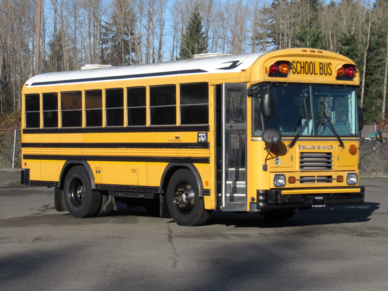 2004 Bluebird TC2000 42 Passenger School Bus - B12400