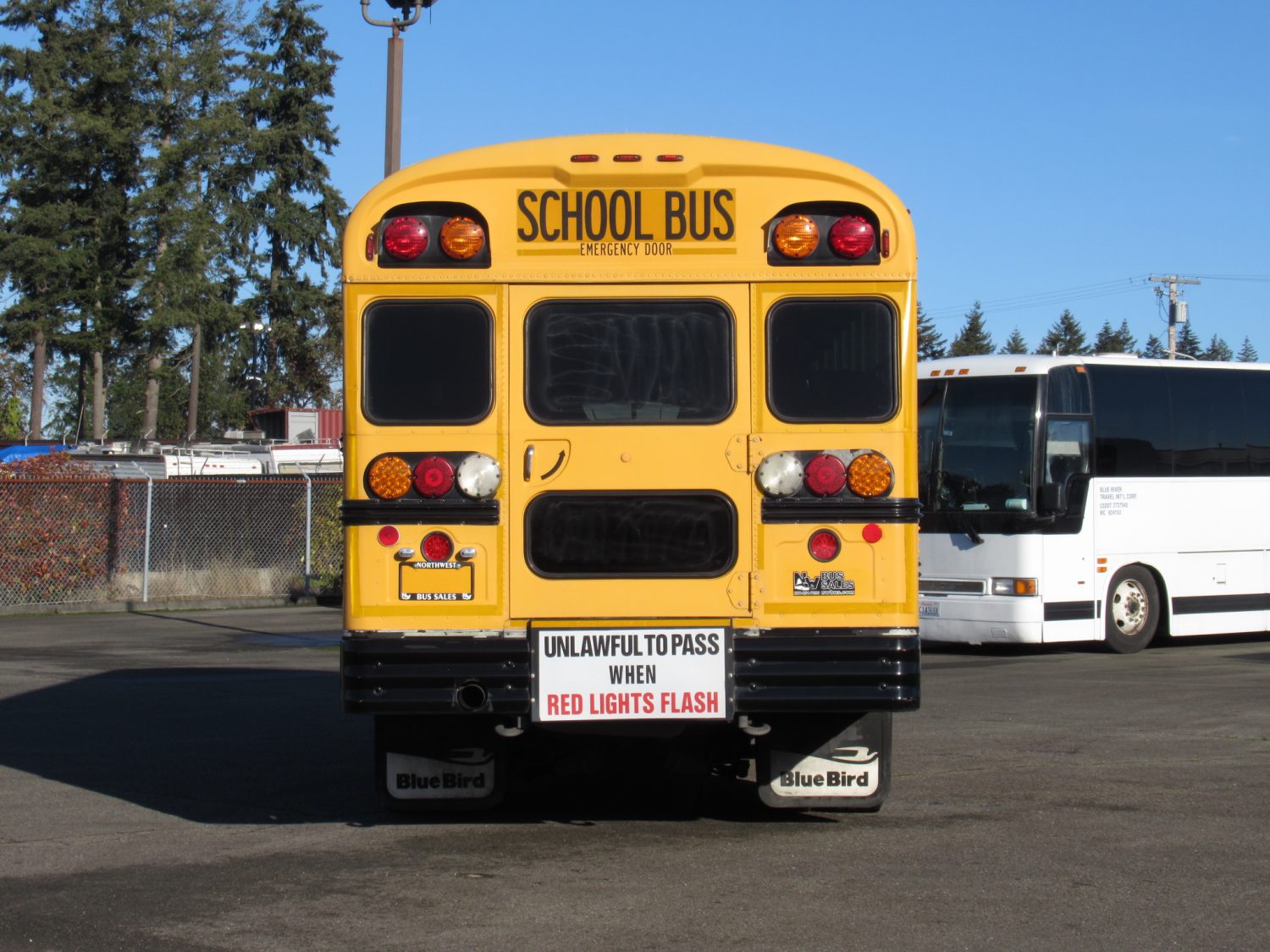 2004 Bluebird TC2000 42 Passenger School Bus - B12400 - Image 11