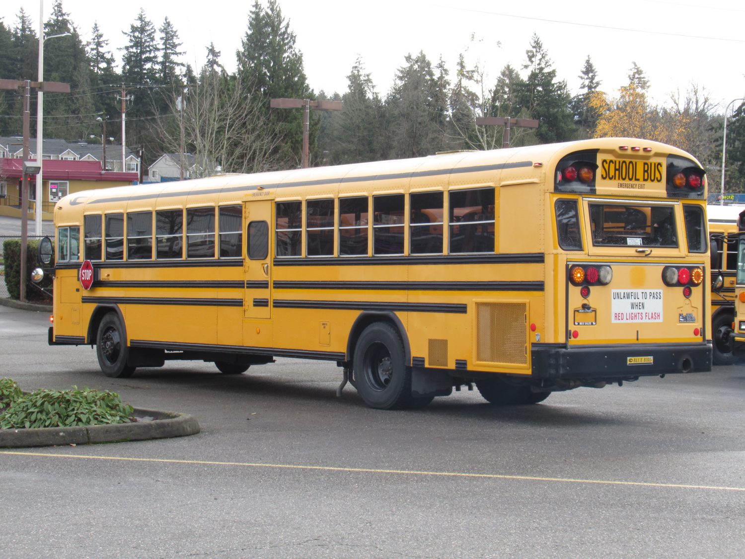 2006 Bluebird All American 84 Passenger School Bus - B37300 - Image 4