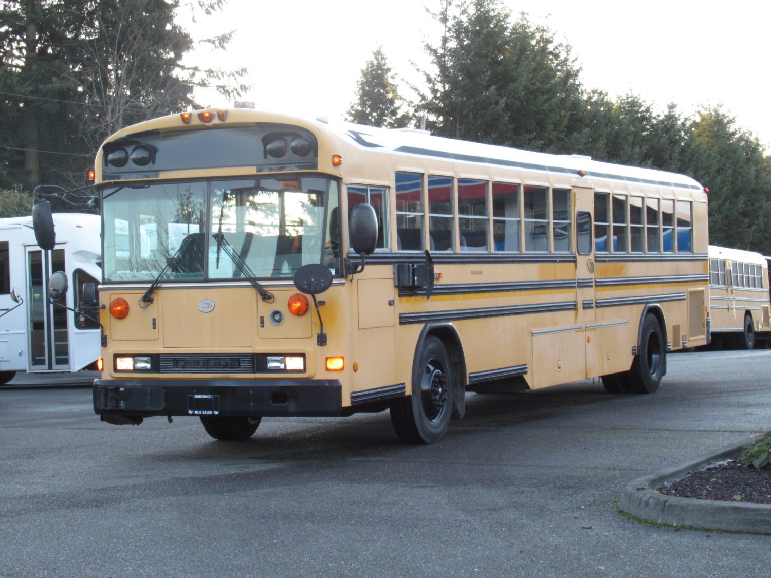 2006 Blue Bird All American 78 Passenger School Bus - B32503 - Image 2