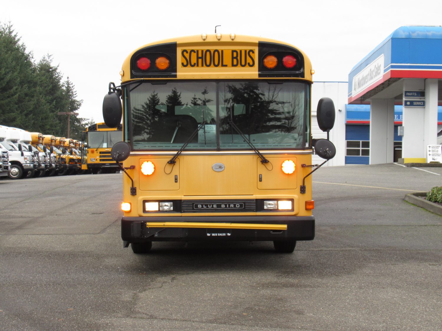 2008 Blue Bird All American 72 Passenger School Bus - B46187 - Image 12