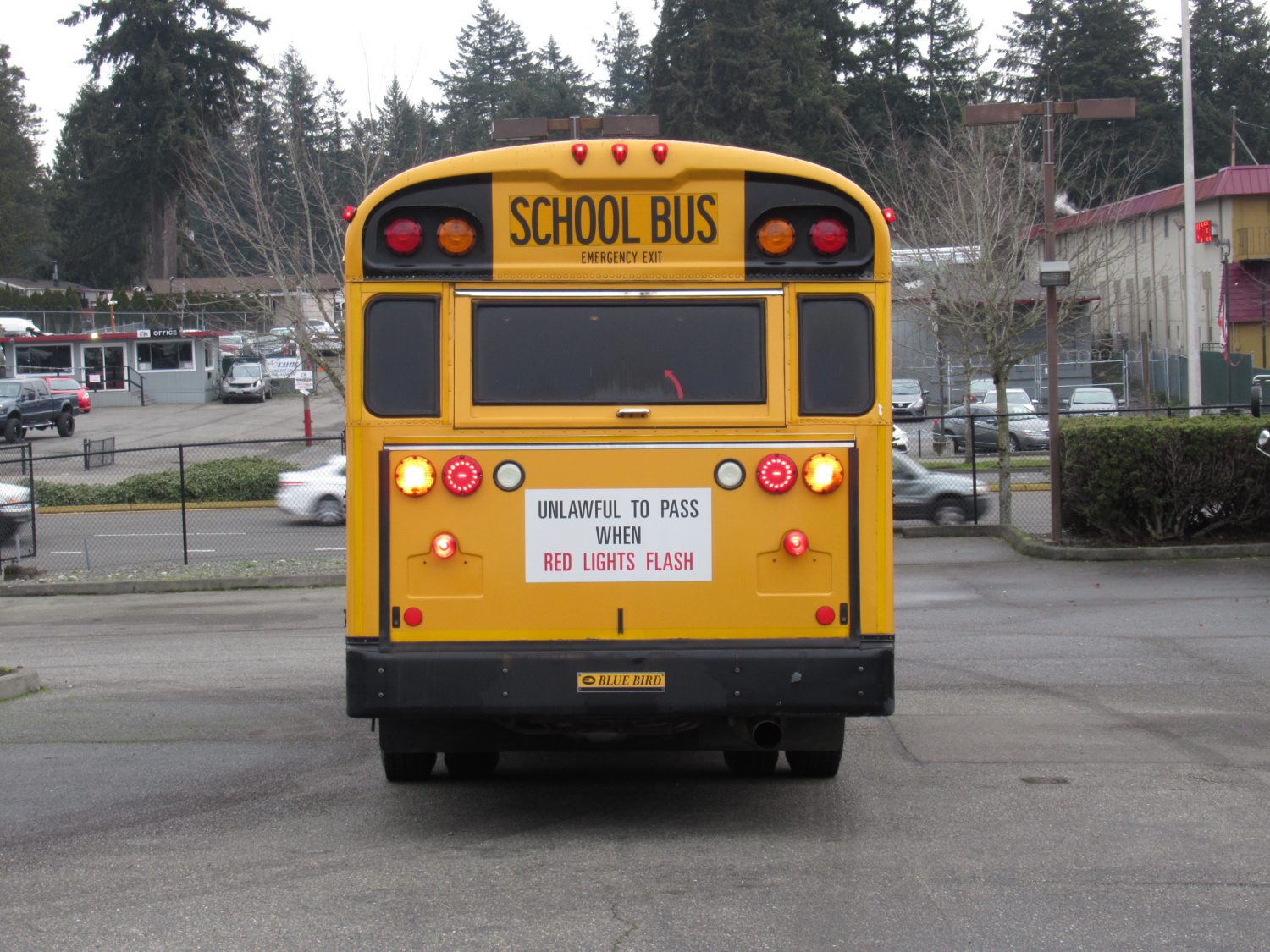 2008 Blue Bird All American 72 Passenger School Bus - B46187 - Image 11