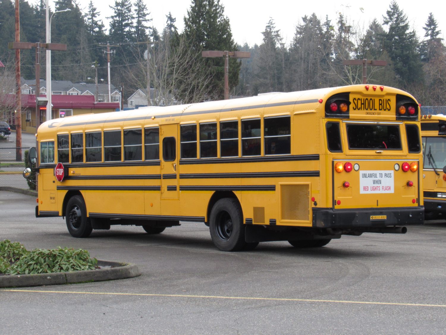 2008 Blue Bird All American 72 Passenger School Bus - B46187 - Image 4