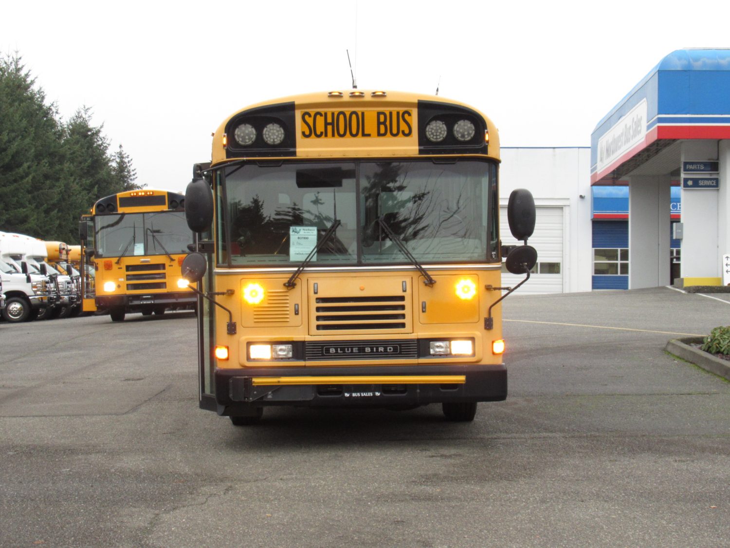 2006 Bluebird All American 14+3 Passenger ADA School Bus - B37890 - Image 12